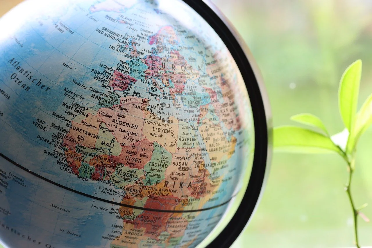 Structured learning path showing progressive skill building through curated books