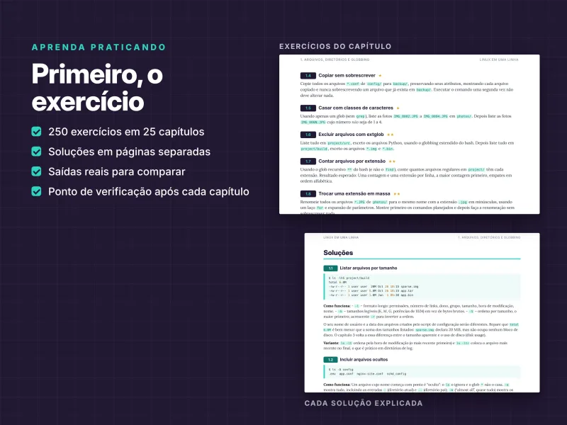 Exercícios de Linux com soluções explicadas, exemplos de comandos e atividades por capítulo