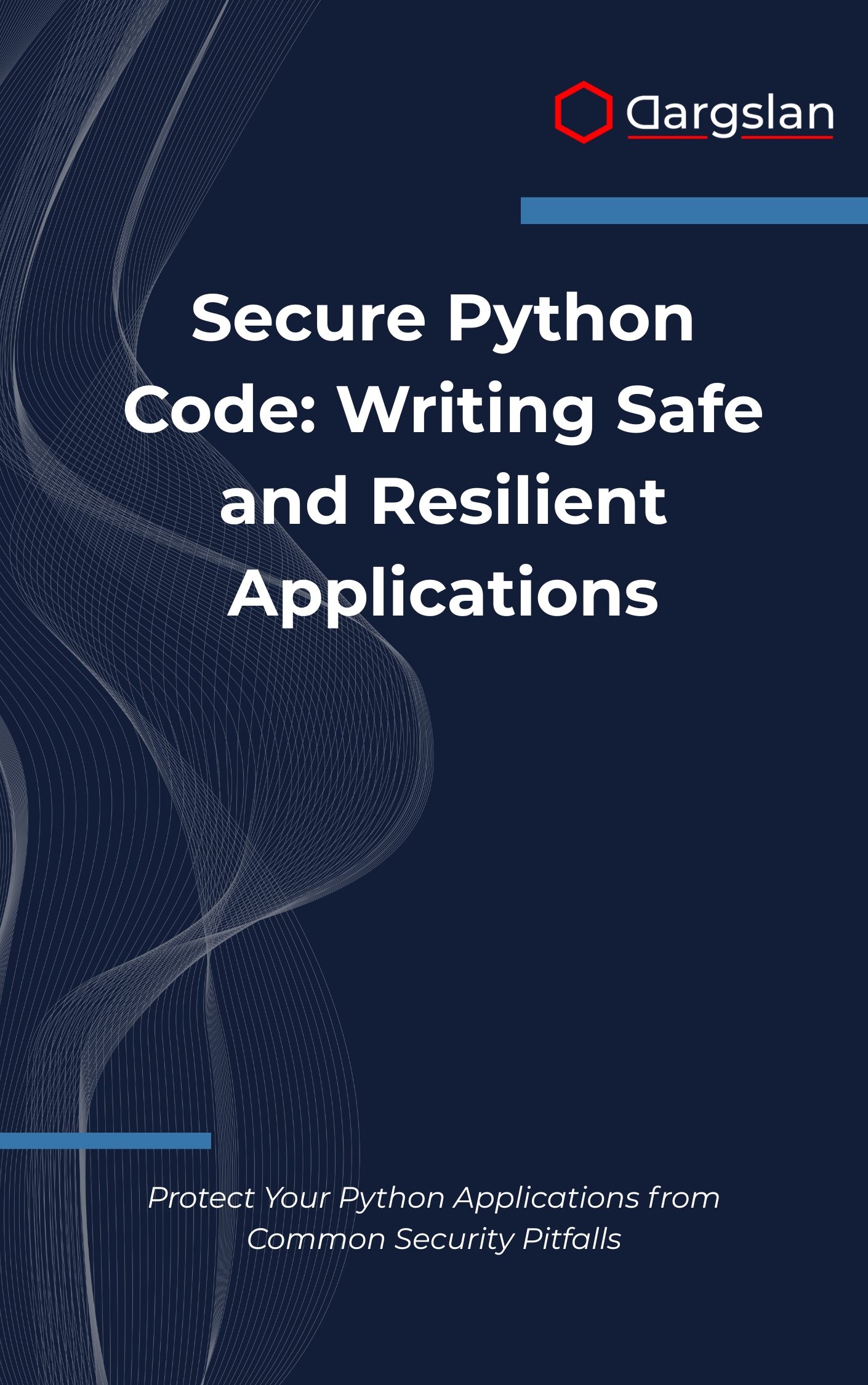 Secure Python Code: Writing Safe and Resilient Applications