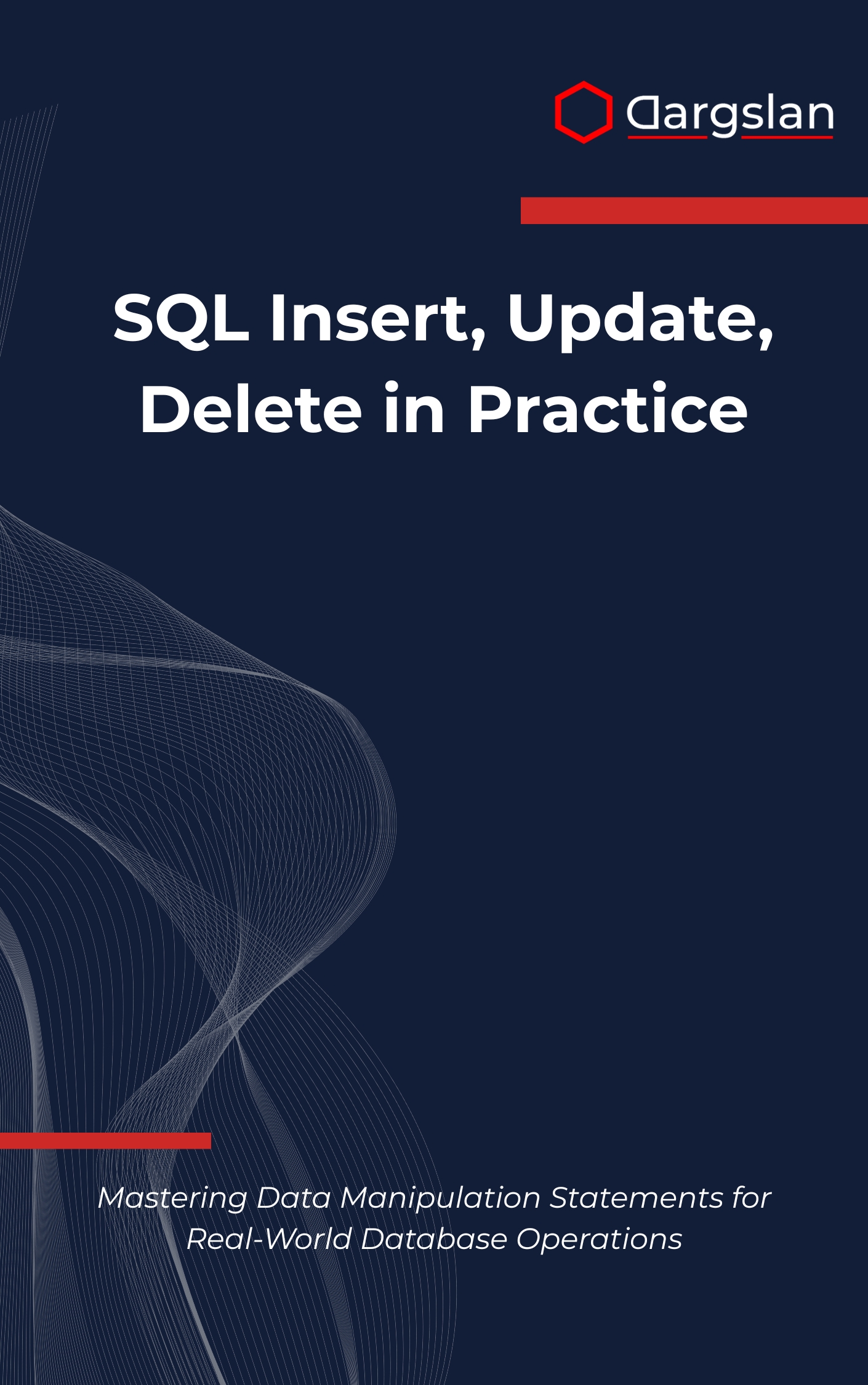 SQL Insert, Update, Delete in Practice