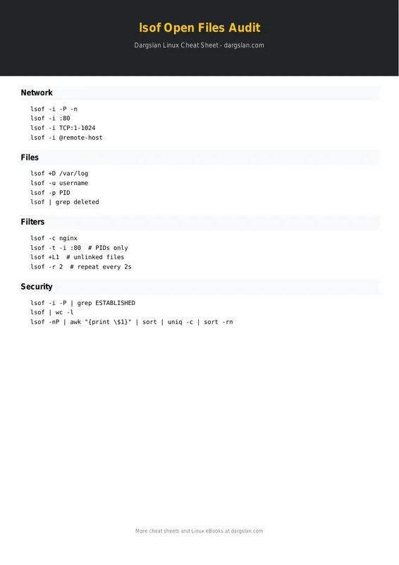 lsof Open Files & Ports Audit Cheat Sheet