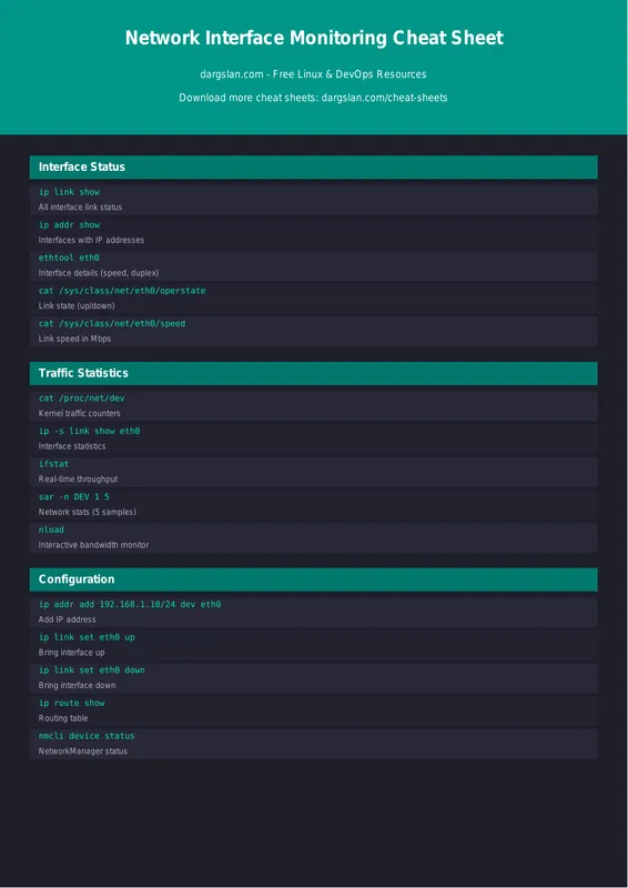 Network Interface Monitoring